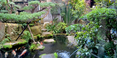 天仁庵の日本庭園
